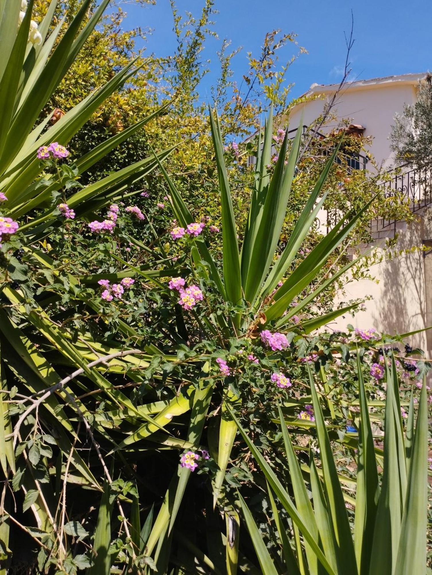 Apartamento Ktima Tzamika Episkopi-Chania Exterior foto