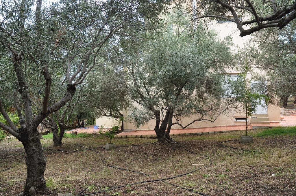 Apartamento Ktima Tzamika Episkopi-Chania Exterior foto