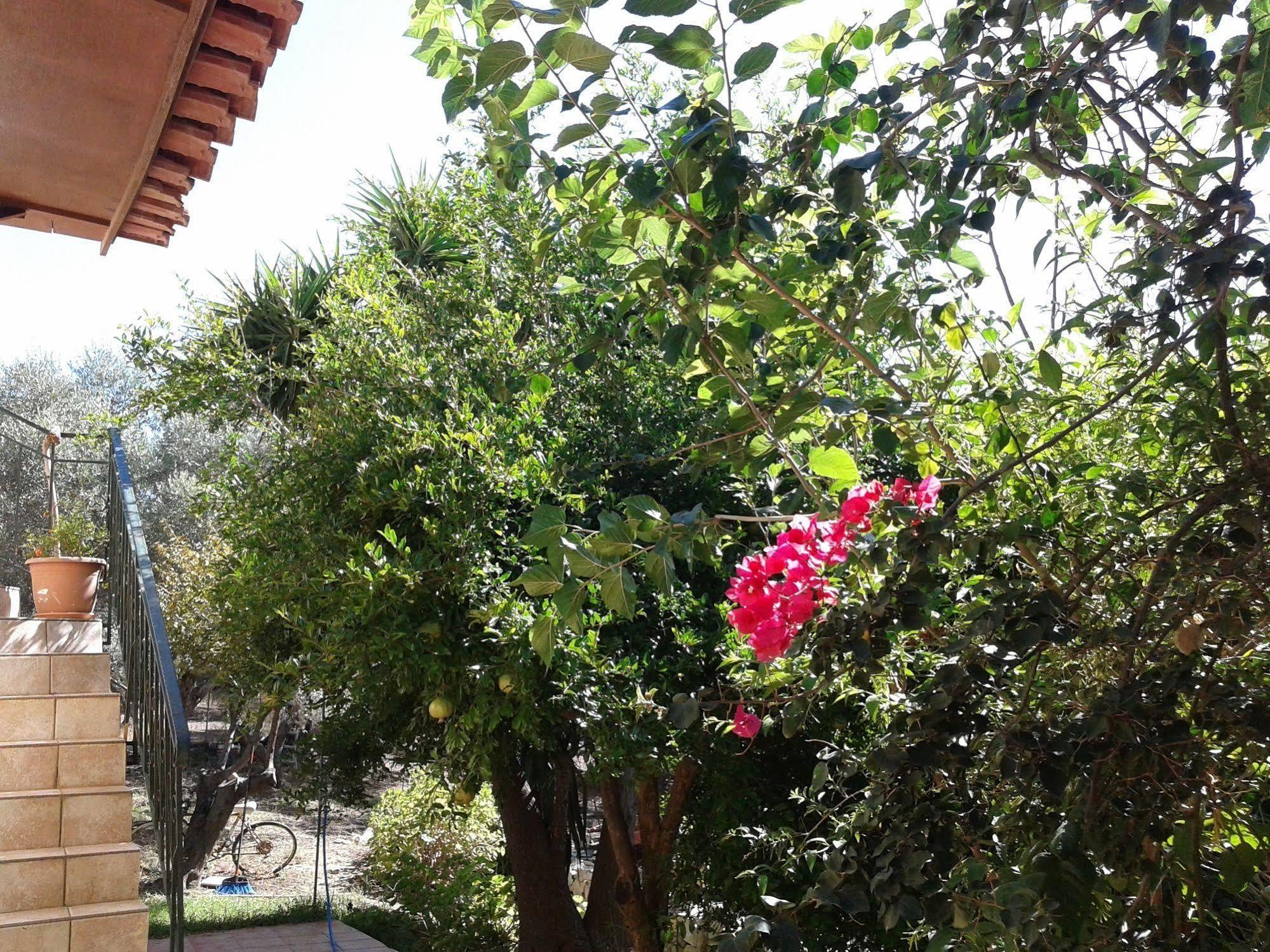 Apartamento Ktima Tzamika Episkopi-Chania Exterior foto