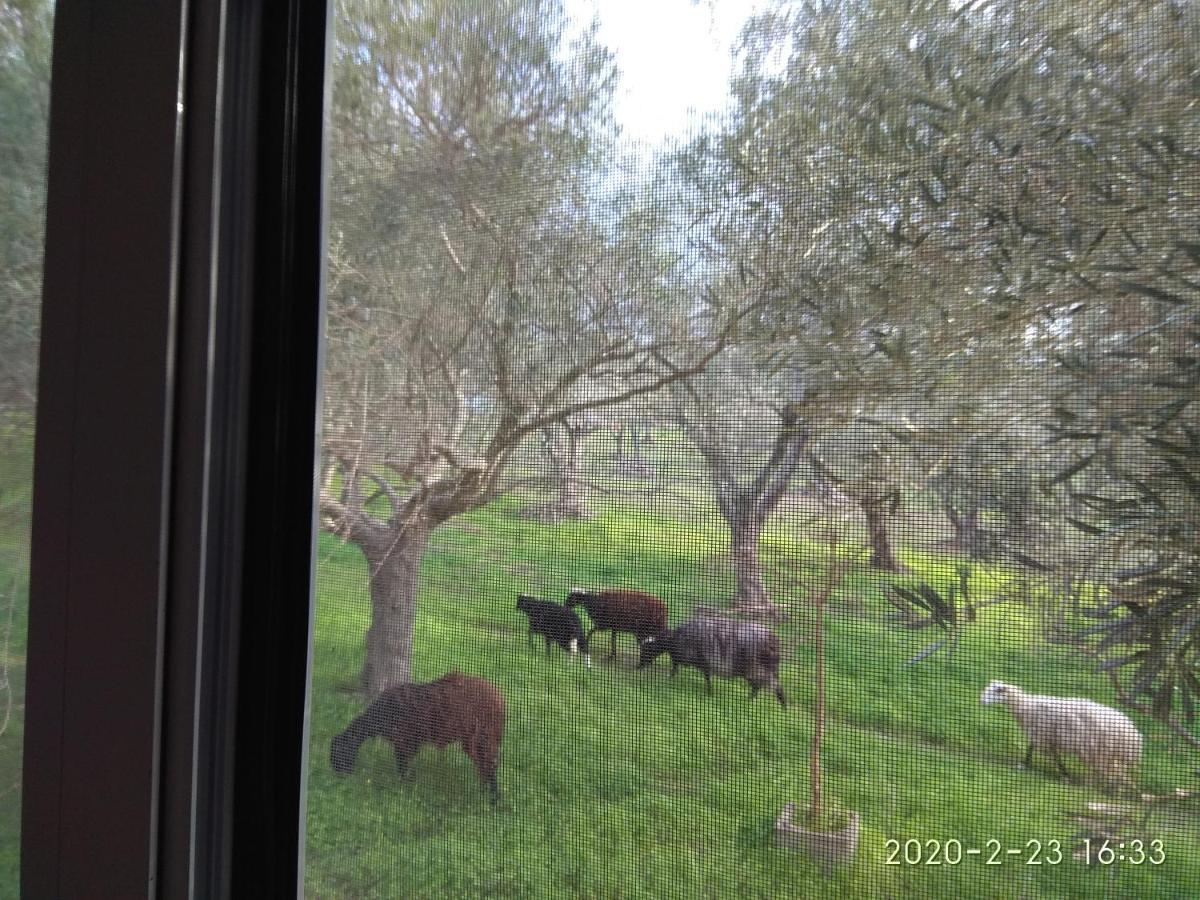 Apartamento Ktima Tzamika Episkopi-Chania Exterior foto